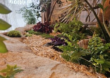 Jardin d’intérieur