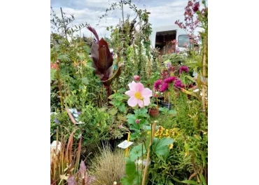 un évènement bien fleuri 