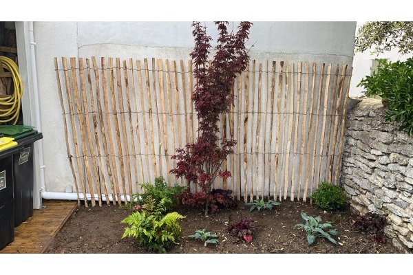 le fond du jardin au nord APRES