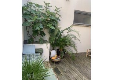Patio privé